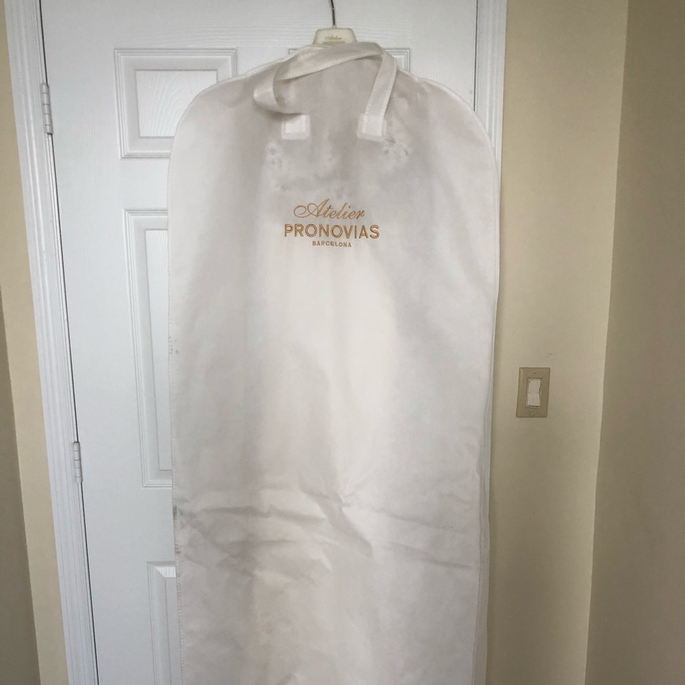 Pronovias Atelier Vicenta Wedding Dress - Picture 4 of 8
